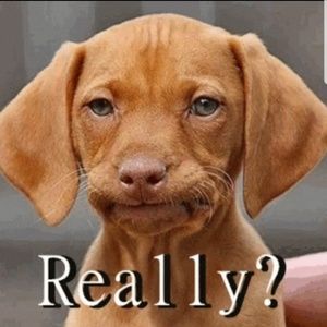 REASONABLE offers accepted